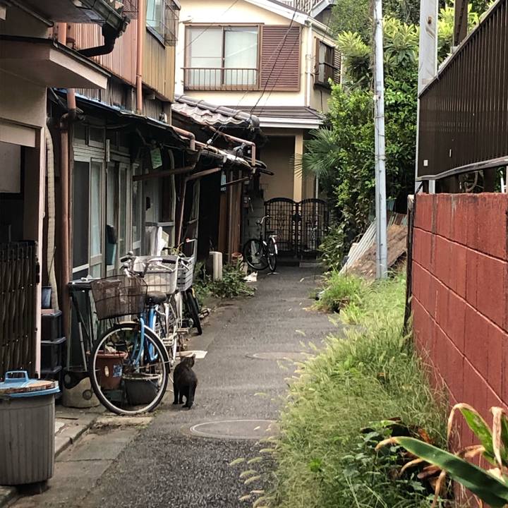 2769443b c493 496e 93ee c8a2359cb68a 1601364108838