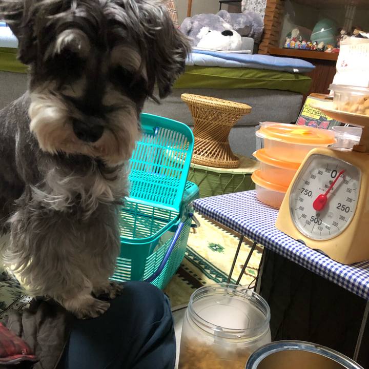 27695a4f 960b 41e1 88c1 8a754e1badcb 1638099547455