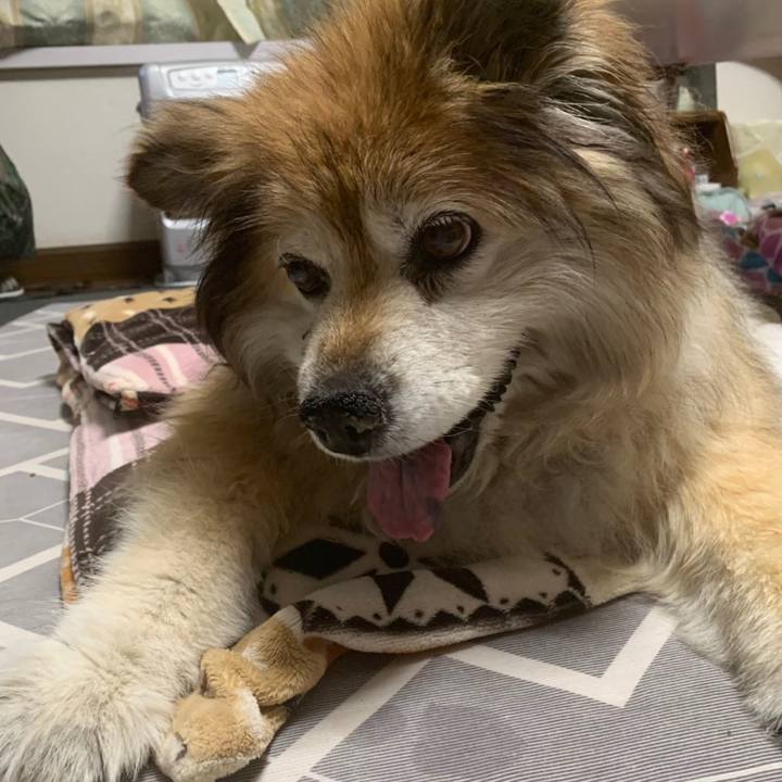 276960ea 014a 4822 86eb 04f10bffea79 1606001320822