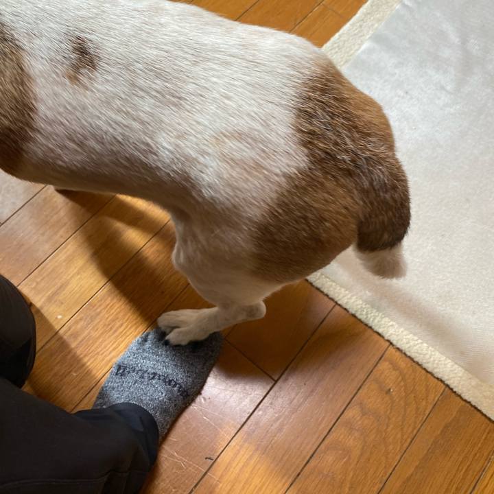 2769785c 3764 4766 aff3 fe48610cb6b4 1704943424319