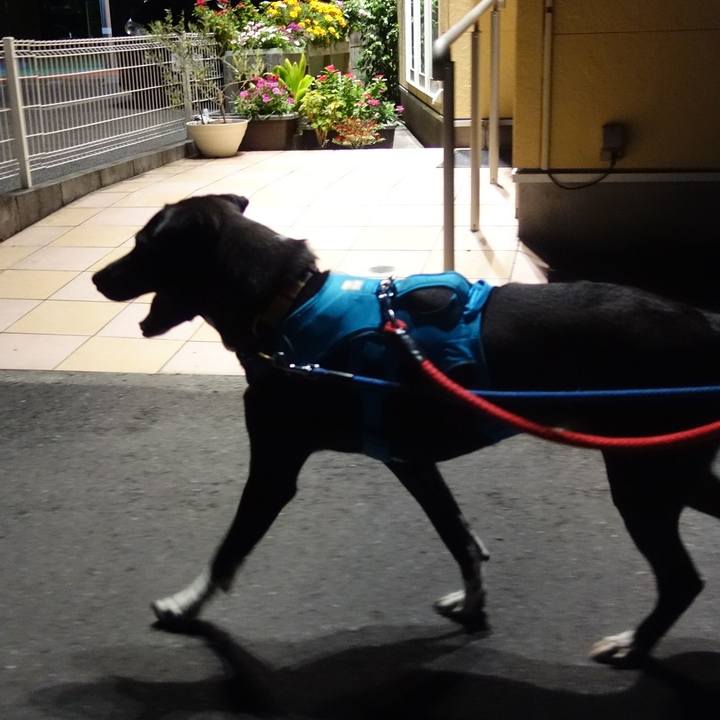 276993fc c689 493f 95e3 5225e15420c5 1603793880267