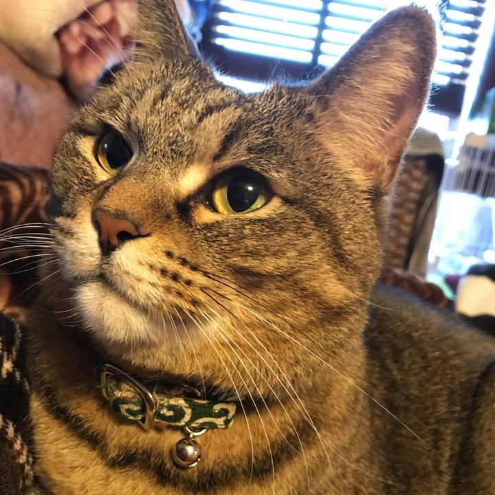 2769ab9f 8b64 4000 802a 3a97a4c43608 1518683035672