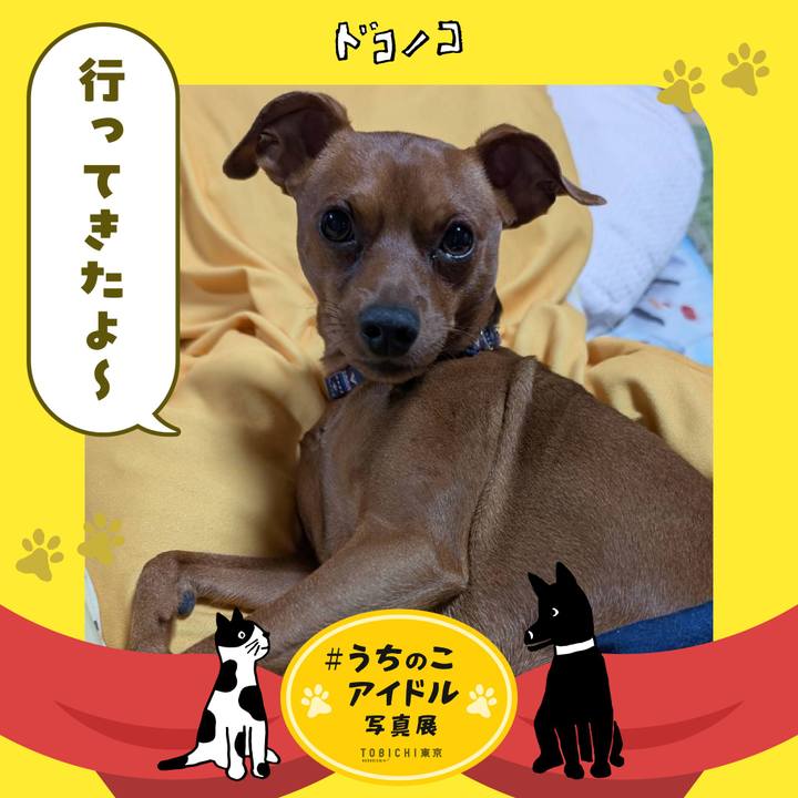 2769ee37 d94d 485d 823a c24b837269dd 1761918559116