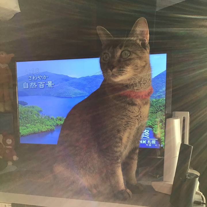 2769f7e6 8e17 477f 8c24 9986a609096b 1601895646445