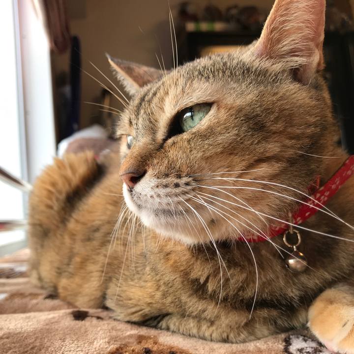 276a1e36 5569 4e6b b209 b5fe43342795 1509258940937