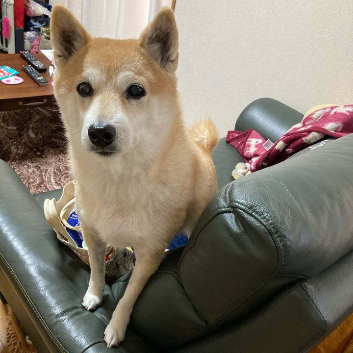 276a619c b086 46c7 81db 4dc38e3ca6ec 1612224368303