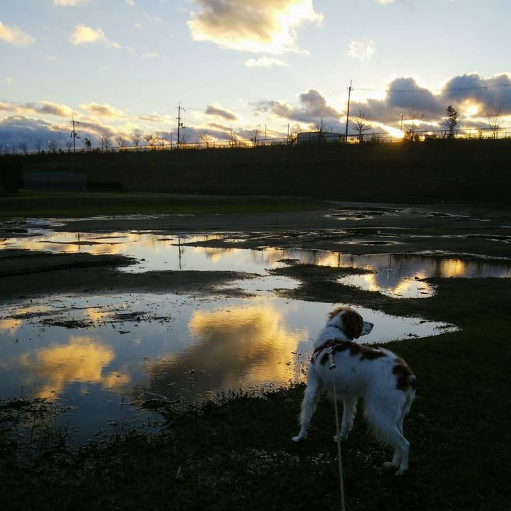 276a6d66 d67c 48b0 aedf 78f9751c2858 1544612032859