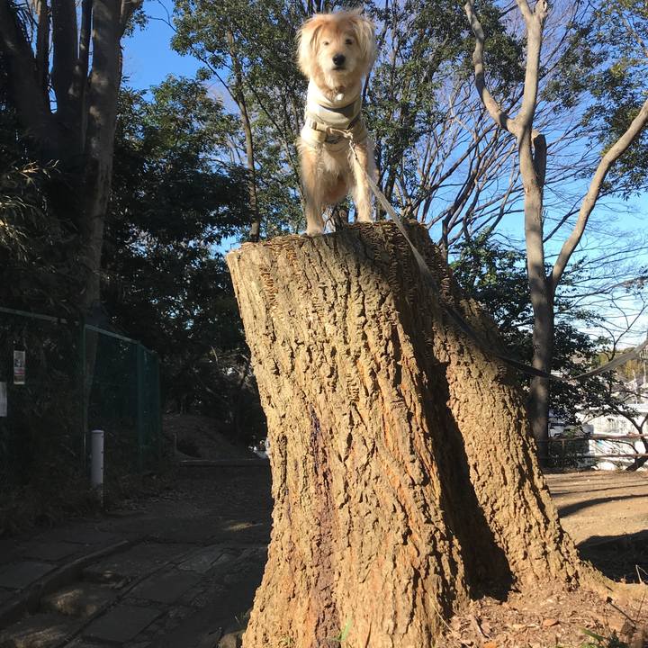 276a7e9b 6f26 46df bc7e 87d76f73c53f 1610258456015