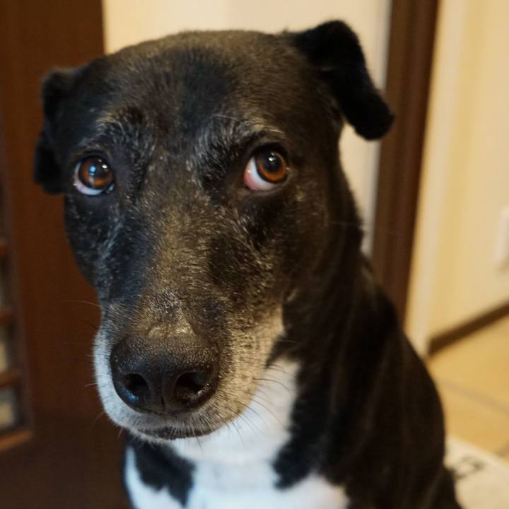 276a8379 a798 42e3 9a13 513da3c3c92b 1756944731191