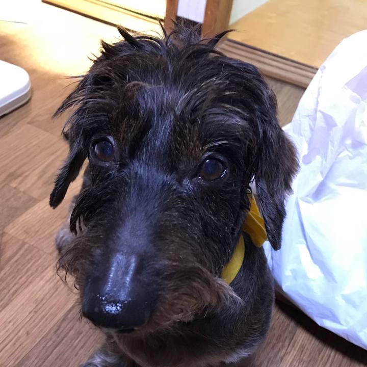 276a906d 3aac 4edd 9c00 cb23943cc825 1542123921730