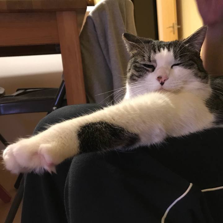 276a936b b89d 4e82 838e 4a7491ca4a18 1519256149572