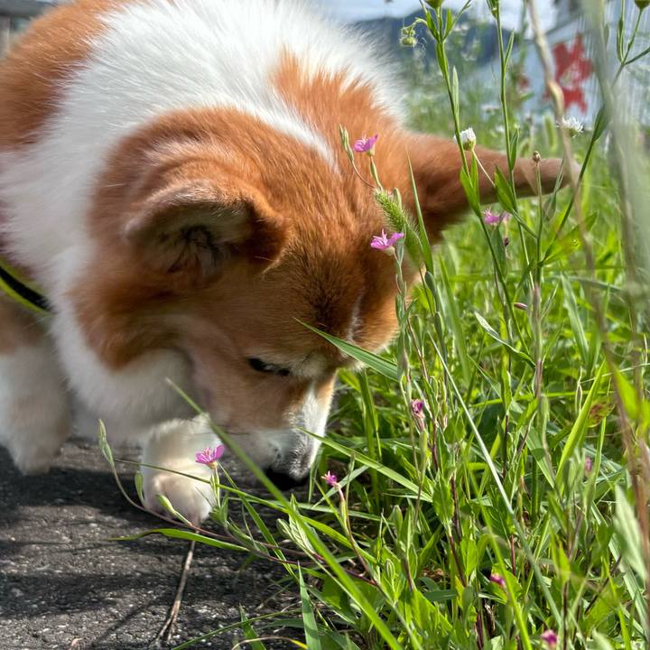 276ad110 694f 4595 b920 1089a90d057f 1751068013357