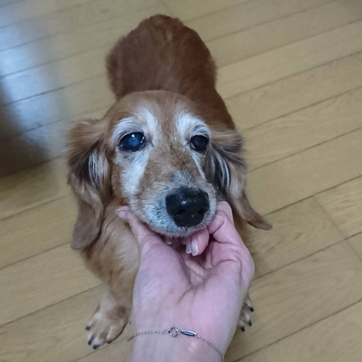 276b0c82 9c17 46da ba25 adf1beff2b14 1511172334393