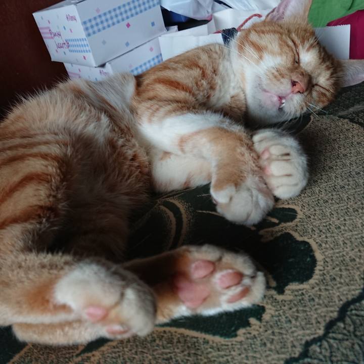 276b0d12 eed2 42fa a1bc a32804b6d25d 1566424397744