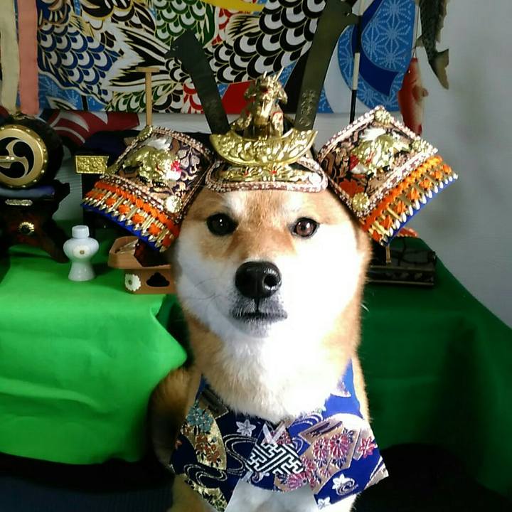 276b19a4 e376 4924 89e4 74fe1c0953c7 1556808153957