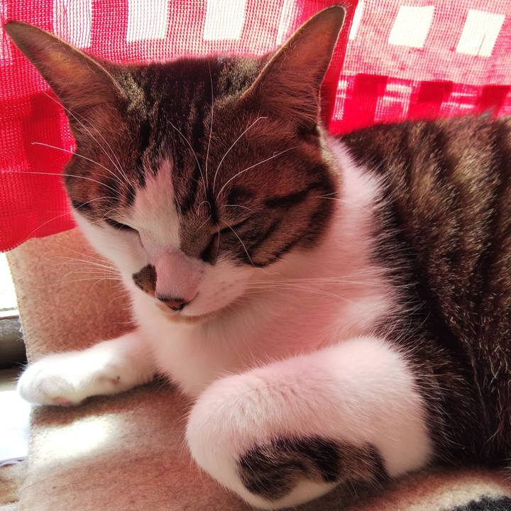 276b1df9 550e 4a9f b51e f43f6582b01c 1646883422553