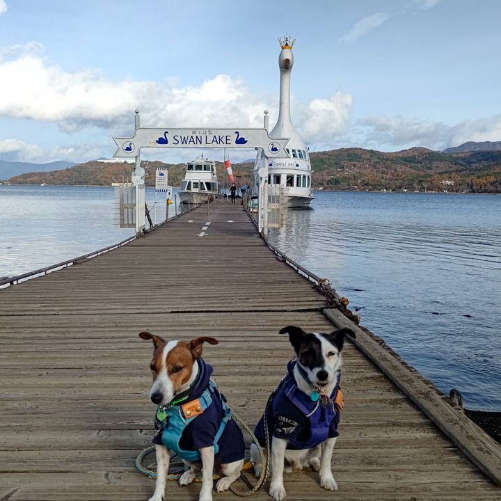 276b506a 1052 4cbb bbd5 d1d813fffefa 1699235421997