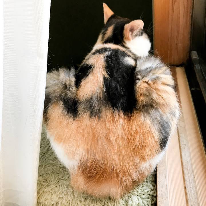 276b59d8 e914 4c39 bc3d 25ea25f383ad 1531705078435