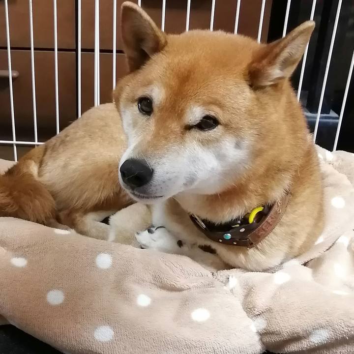 276b9d0c 78d1 49ec a316 ead52125a3d9 1613227395765