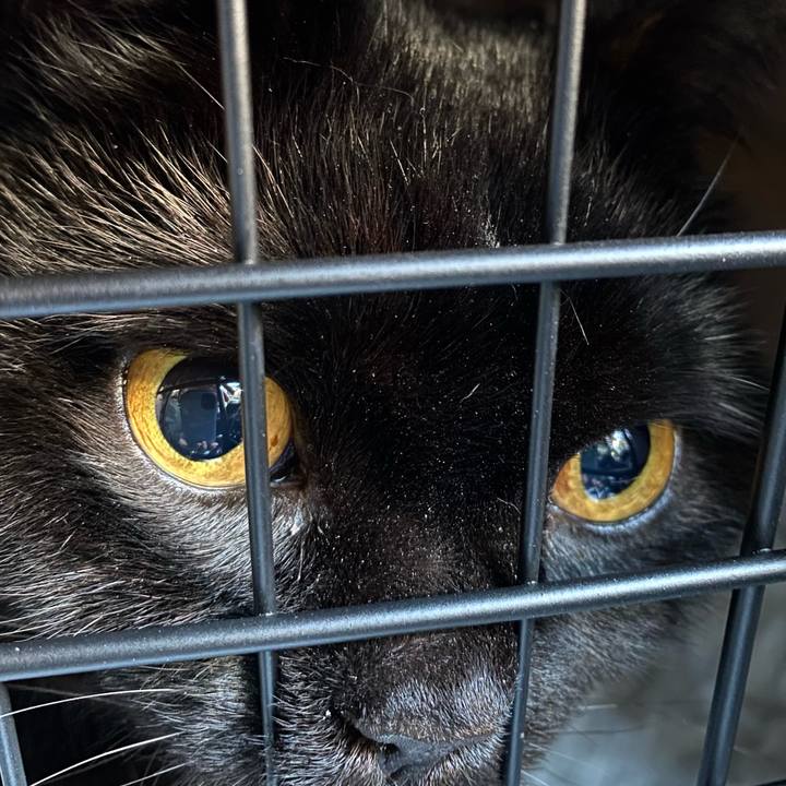 276bcbd8 1bc3 42c1 8a9b 7e1bb3e03960 1739620506899