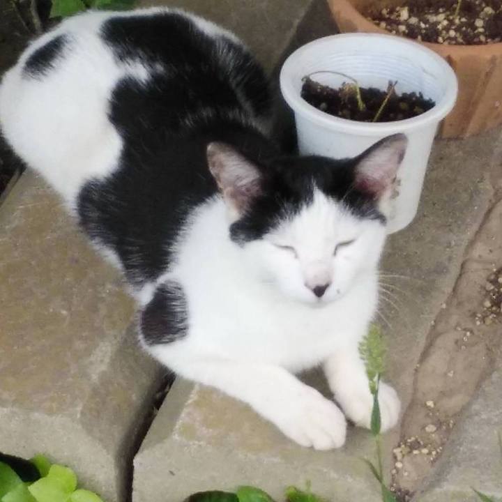 276beece 3b11 4630 980c ddf52942221c 1621830734822