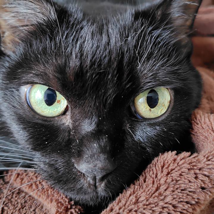 276c427b e606 455a af58 5531c8cf78e4 1760149071182