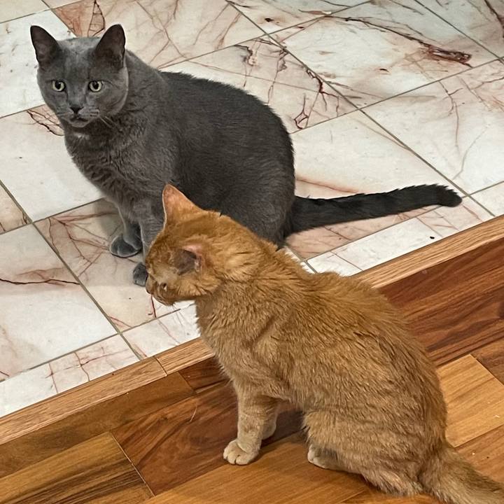 276c52bb 17c0 4e75 8b37 e2ede1cf537b 1769544135756