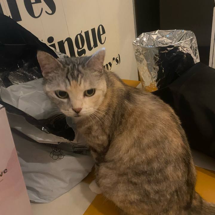 276c5ee1 5b70 4d4b a434 a08843292c8c 1753192217651