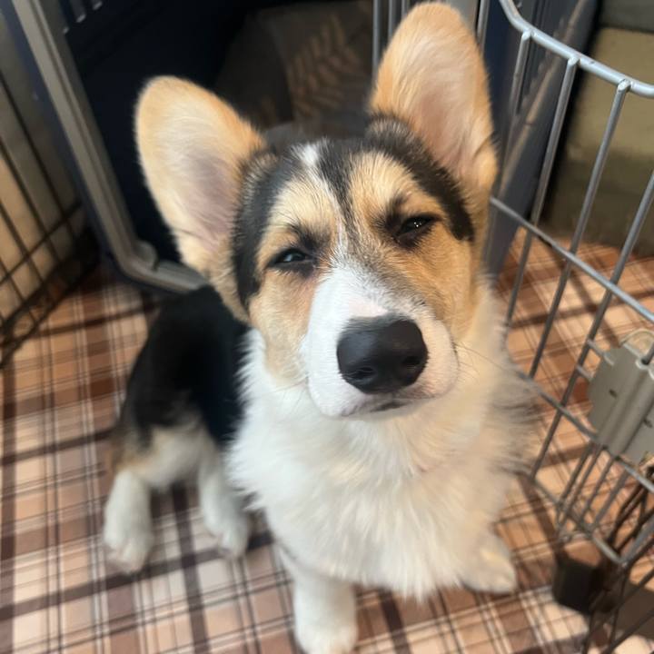 276c69e9 1ecb 4b73 80ae b6533e26e992 1775087848313