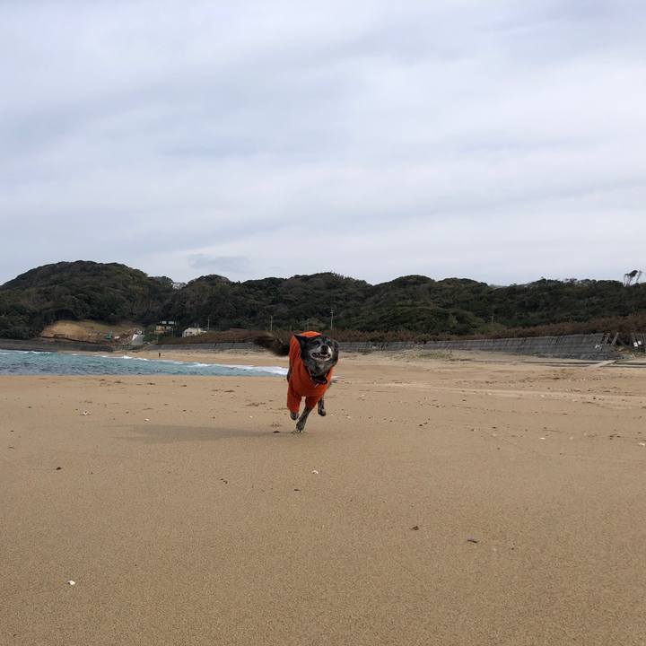 276c7d7a 0346 4f91 bc93 5d77b22d37c7 1670851463649