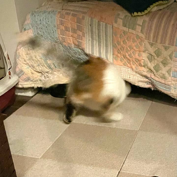 276c8255 5fa2 4220 aaeb 3add55803085 1661348534878