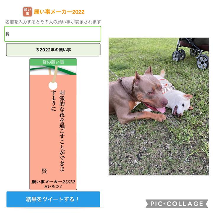 276ccc3e 5d01 4a58 ae21 225895cd69dd 1657201659638