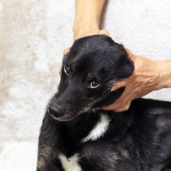 276ced81 a61e 4e0e becf 1d57bb352c68 1537055360507