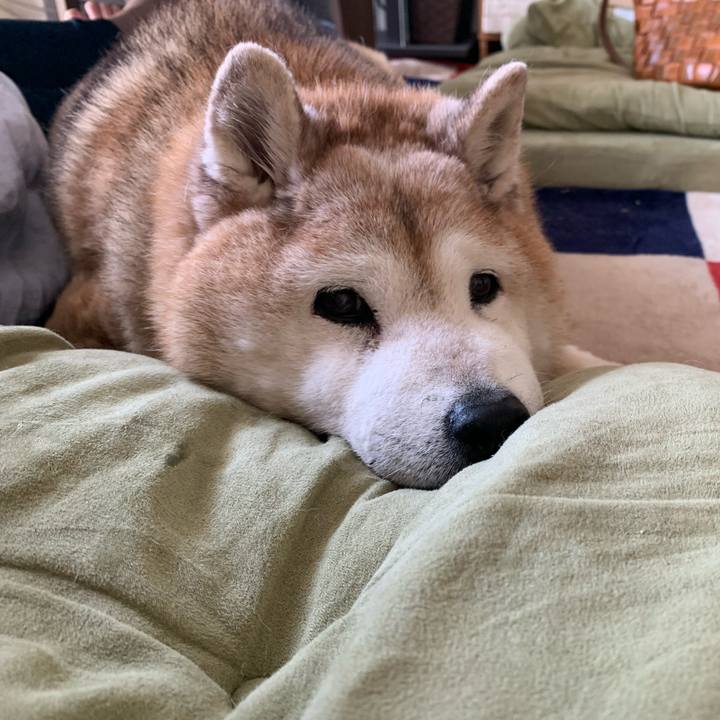 276d018c 9ece 4186 b7e1 2991e55cbae8 1651727125238