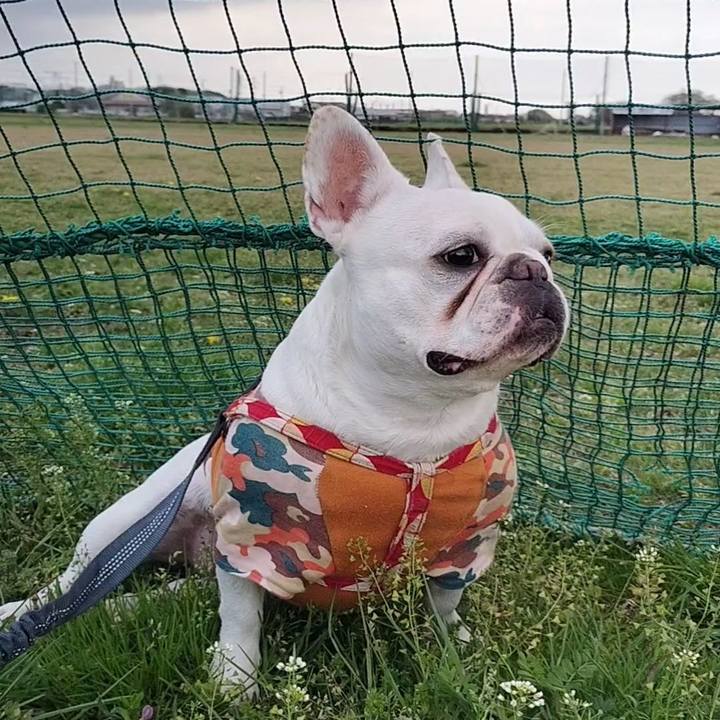 276d0e3d a1e0 4f7e 9b37 f6eb8480c7af 1680080609166