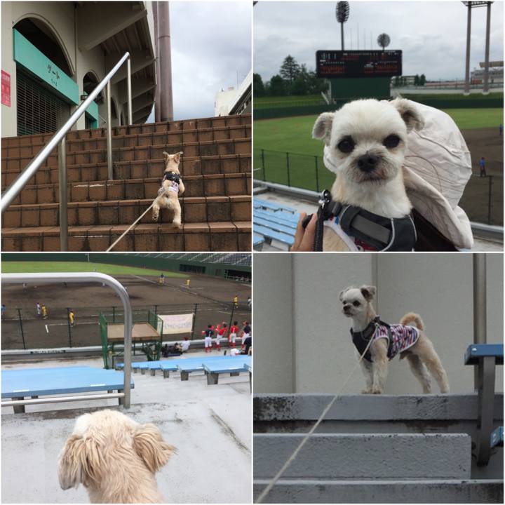 276d33e0 2ff2 4f02 b556 3b794642cc09 1562404651868