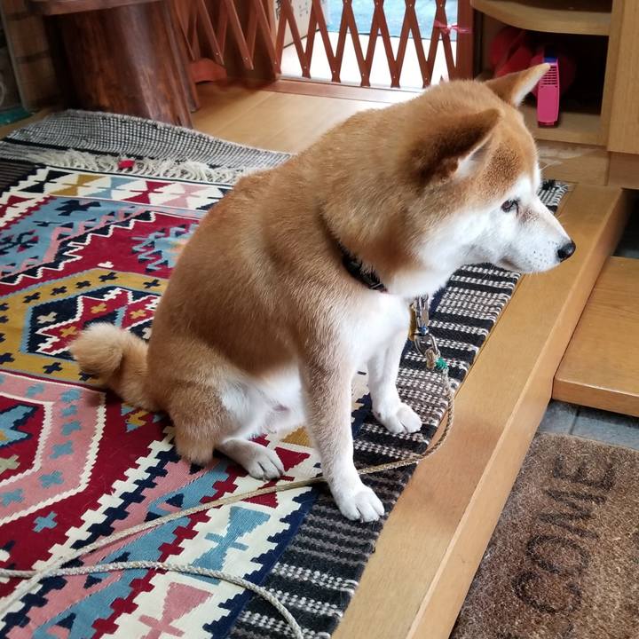 276d6f84 9186 407d b2b7 422221245587 1579834764862