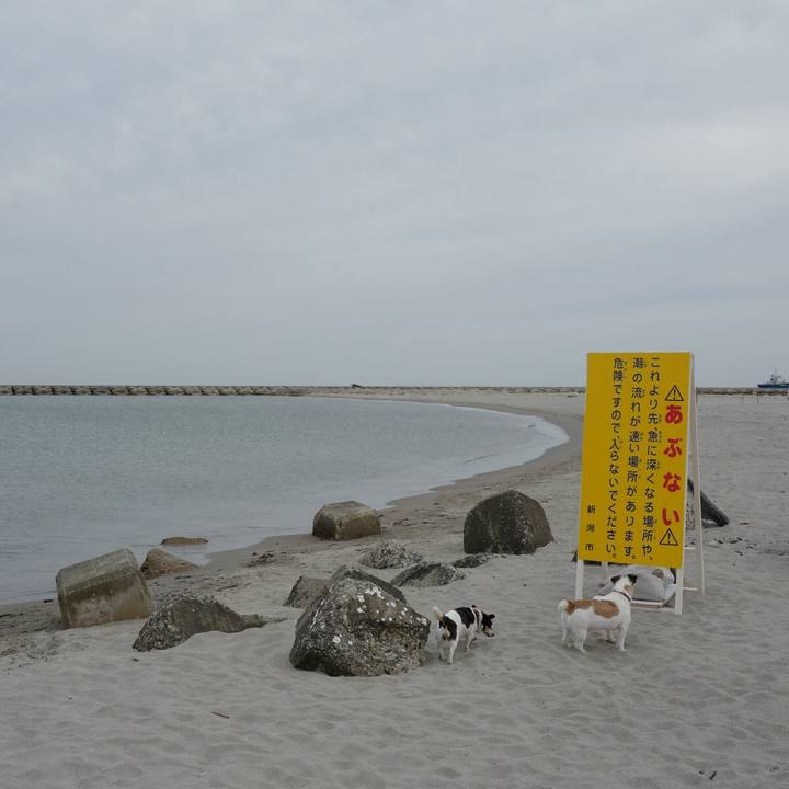 276d87bd 9480 40d1 a23f 34a1cb8ba5fb 1562818795815