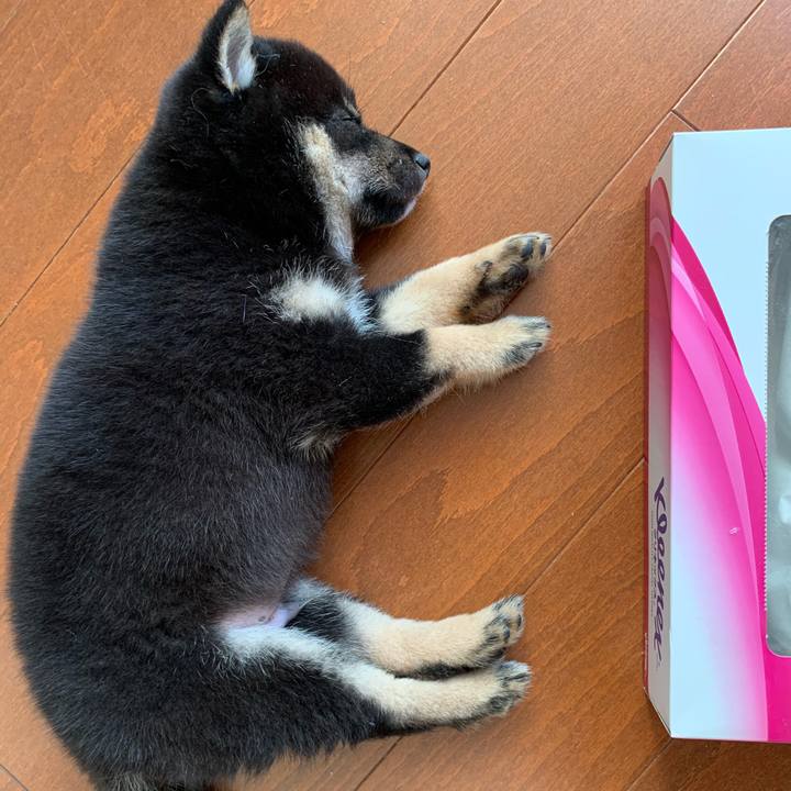 276d8cdc b801 4fac 8275 3c897ca80c67 1598269903681