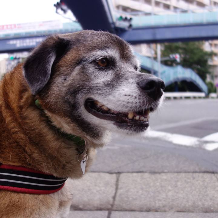 276d94e9 9bff 41fe b532 fd29529a9647 1562986255117