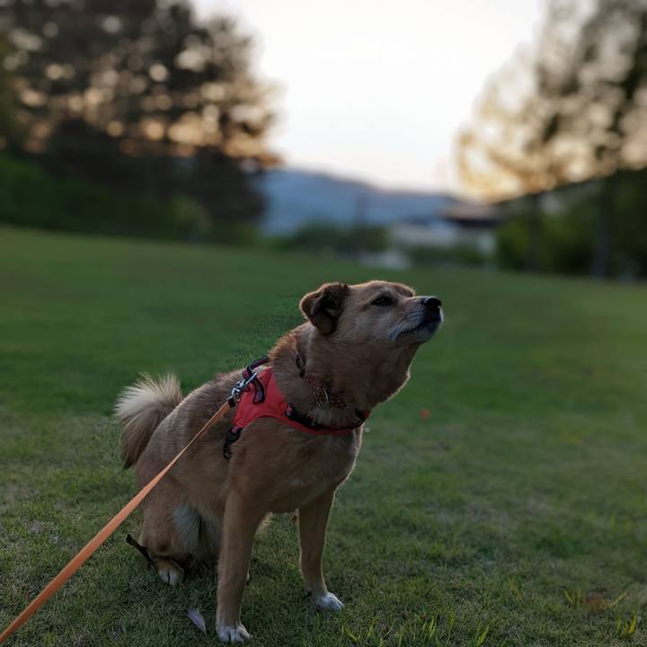 276dad54 0f5a 4e82 afcb 667ade8fd061 1653225223799