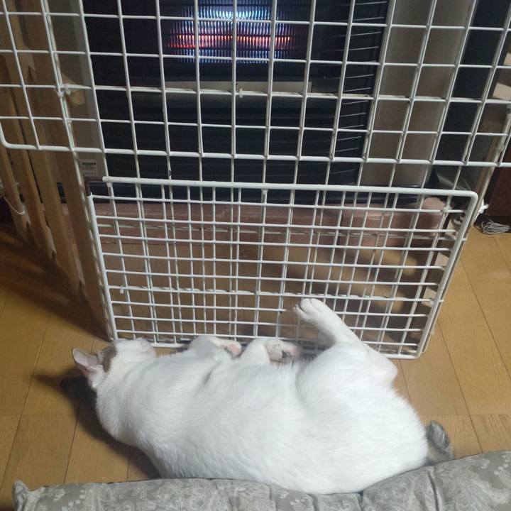 276dd287 60c4 4b9c b5d3 0ff88fd92112 1735820586988