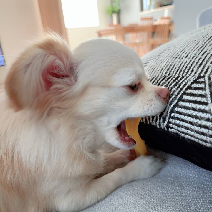 276e2ea4 647d 41f1 9ed7 de5387d272d5 1690365385912