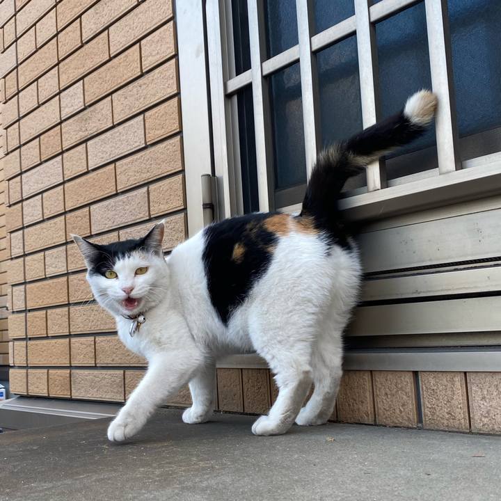 276e5f7f bfa6 47a0 8054 e78e0832fb45 1643295386940