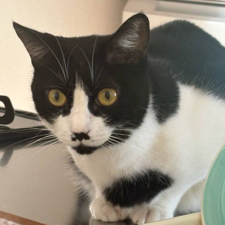 276e68b8 22a2 413e 909e 64927659b222 1763340311687