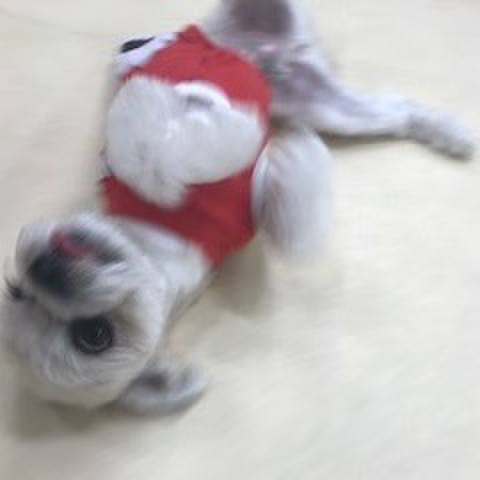 276e7784 c578 40a5 b8bc 38319a297223 1510313722357