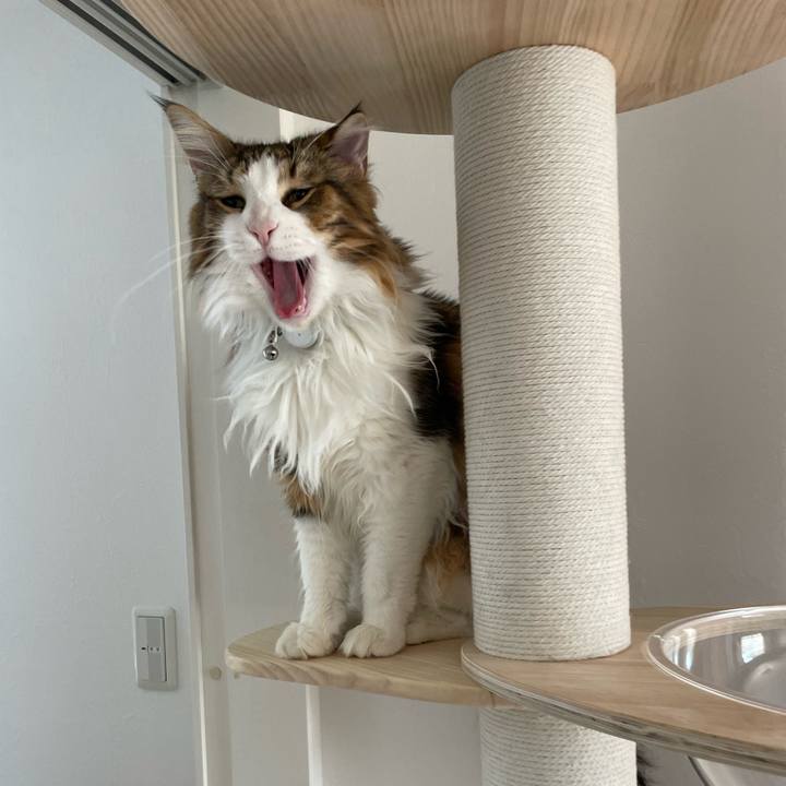 276e84e6 88bb 4760 996c 6bb8a3659685 1651992845234