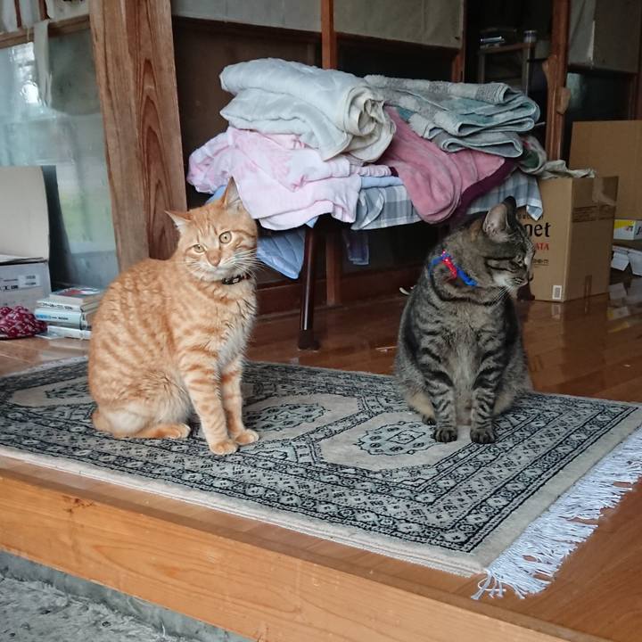 276e8562 3290 47e1 a23f 474632f7ca0e 1657009450511