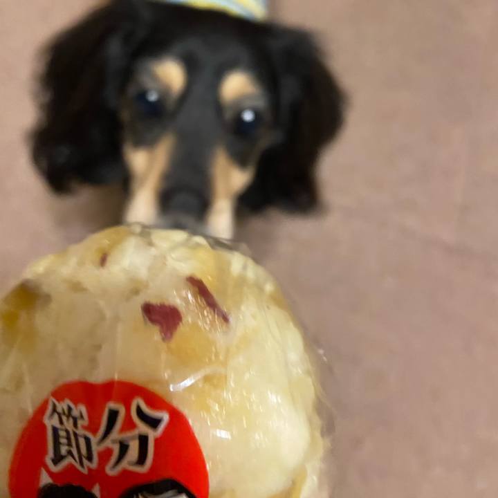 276eb1fc 5ec0 43a5 bd3a 61429d0a221a 1738495916769