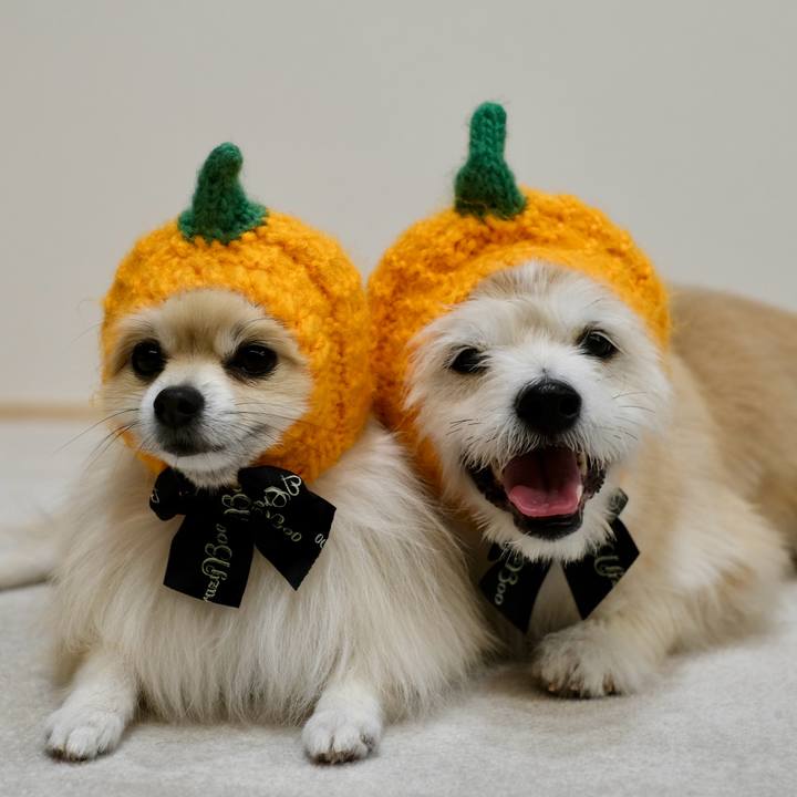 276ef51b 1eb1 4637 b942 a84e39bfe3e0 1761860885863